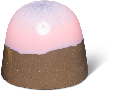 Bonbon Vijgen