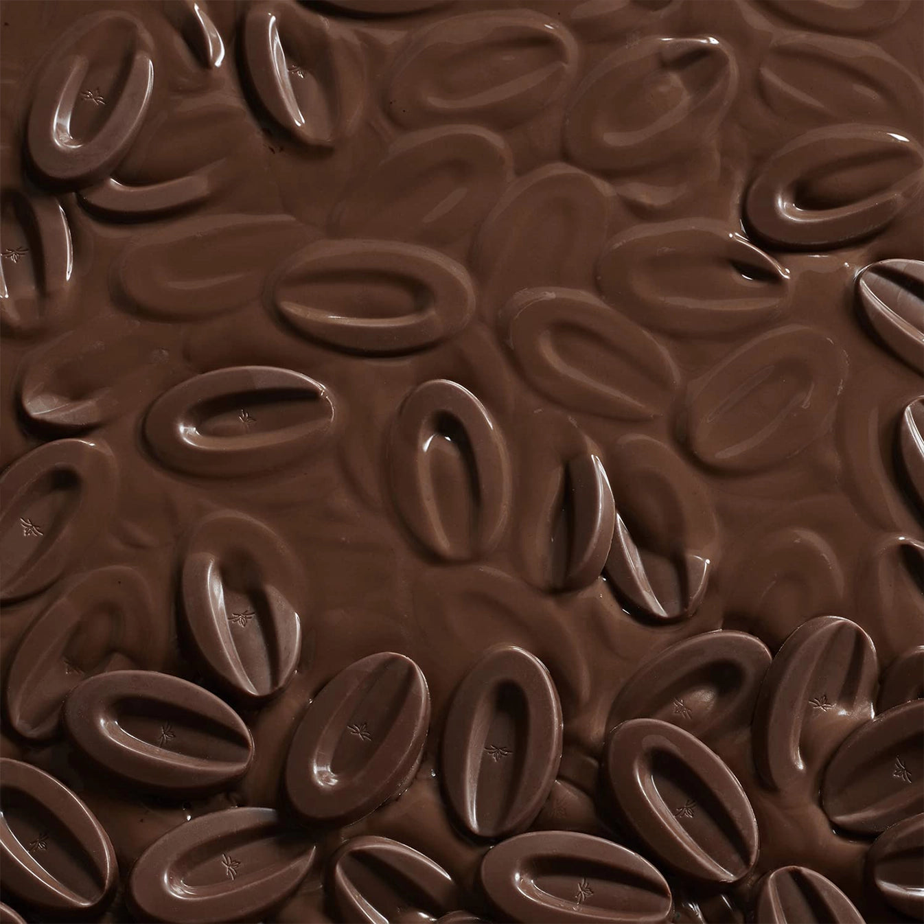 Valrhona Satilia Noire 62% Pure Chocolade Fèves